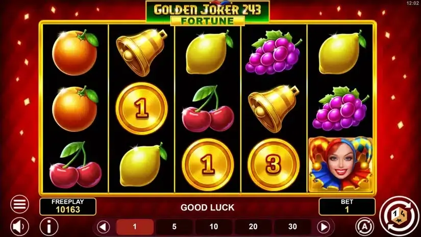 Golden Joker 243 Fortune slot screenshot 5