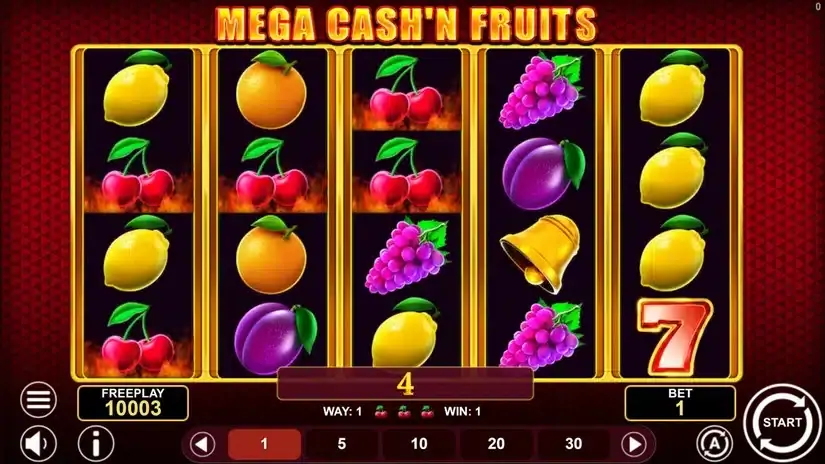 Mega Cash’n Fruits slot screenshot 3