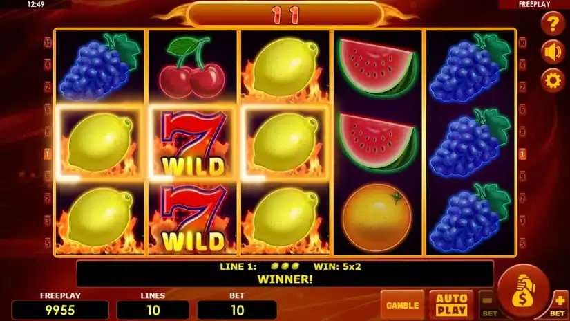 Hot Fruits 10 slot screenshot 