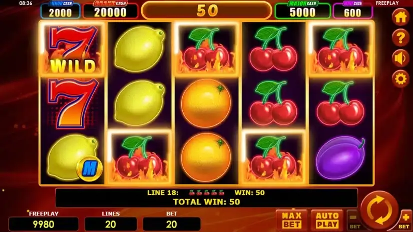 Hot Fruits 20 Cash Spins slot screenshot 2