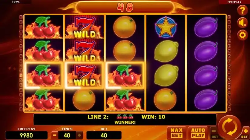 Hot Fruits 40 slot screenshot 4