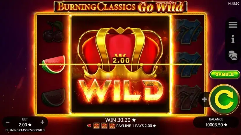 Burning Classics Go Wild slot screenshot 