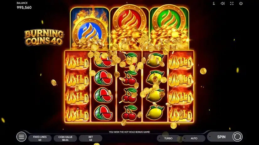 Burning Coin 40 slot screenshot 1
