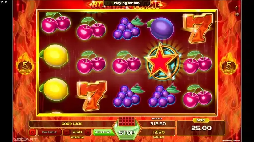 Burning Flame slot screenshot 3