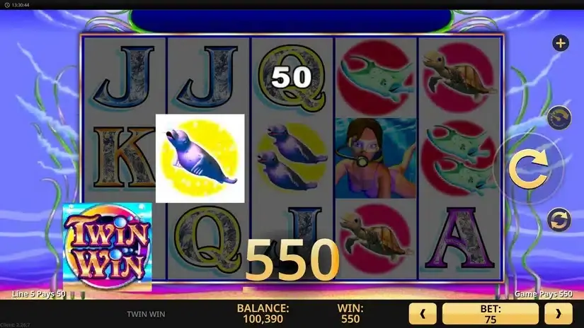 Twin Win slot screenshot 2