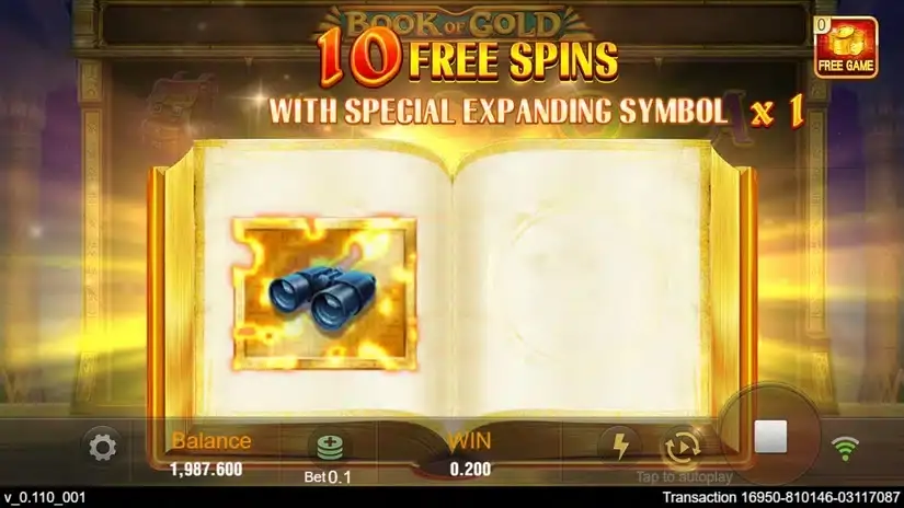 Book of Gold slot screenshot 3