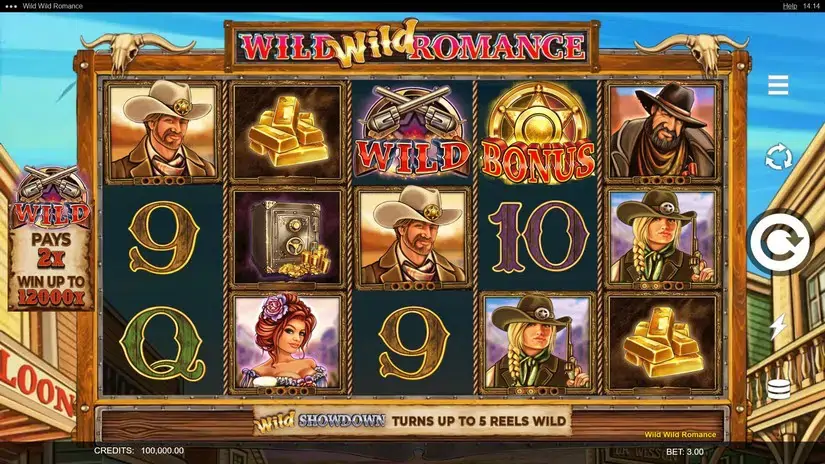 Wild Wild Romance slot screenshot 1