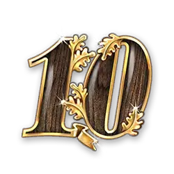 icon 10