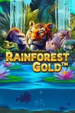 Rainforest Gold