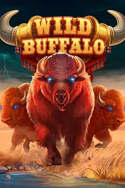 Wild Buffalo