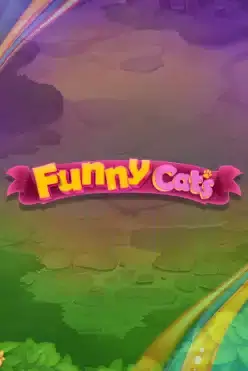Funny Cats
