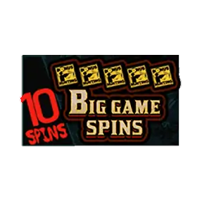 Bonus Buy Big Game Spins