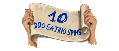Bonus Buy Dog Eating Spins