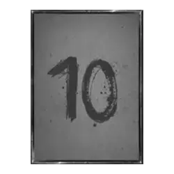 icon 10