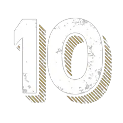 icon 10