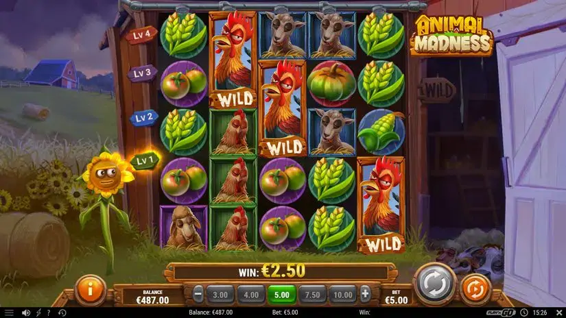 Animal Madness slot screenshot 6