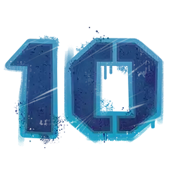 icon 10