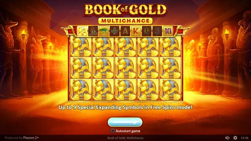 Book of Gold Multichance slot screenshot 3
