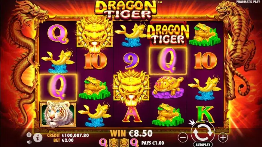 Dragon Tiger slot screenshot 3