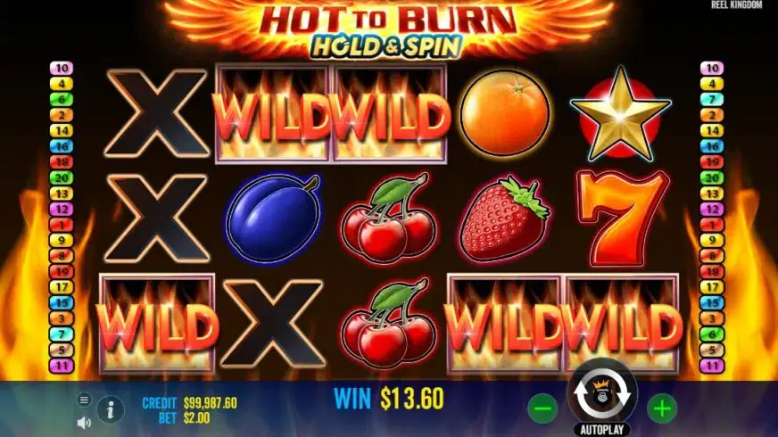 Hot to Burn Hold and Spin slot screenshot 2