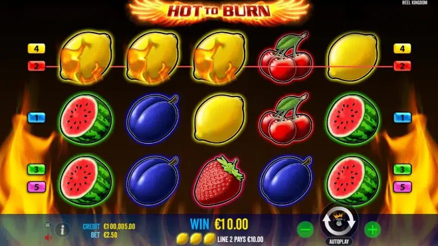 Hot to Burn slot screenshot 2
