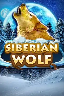Siberian Wolf