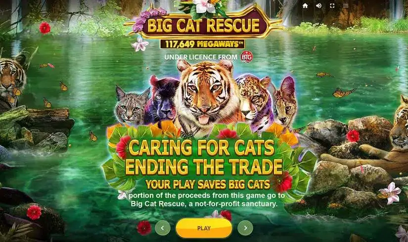 Big Cat Rescue MegaWays slot screenshot 
