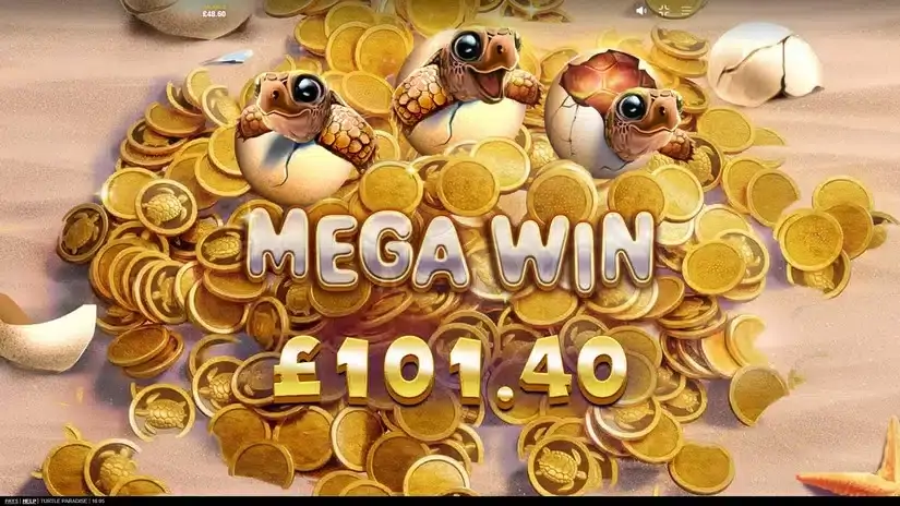 Turtle Paradise slot screenshot 4