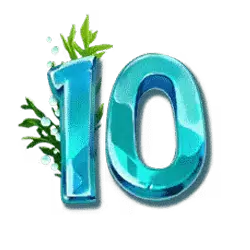 icon 10