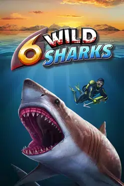 6 Wild Sharks
